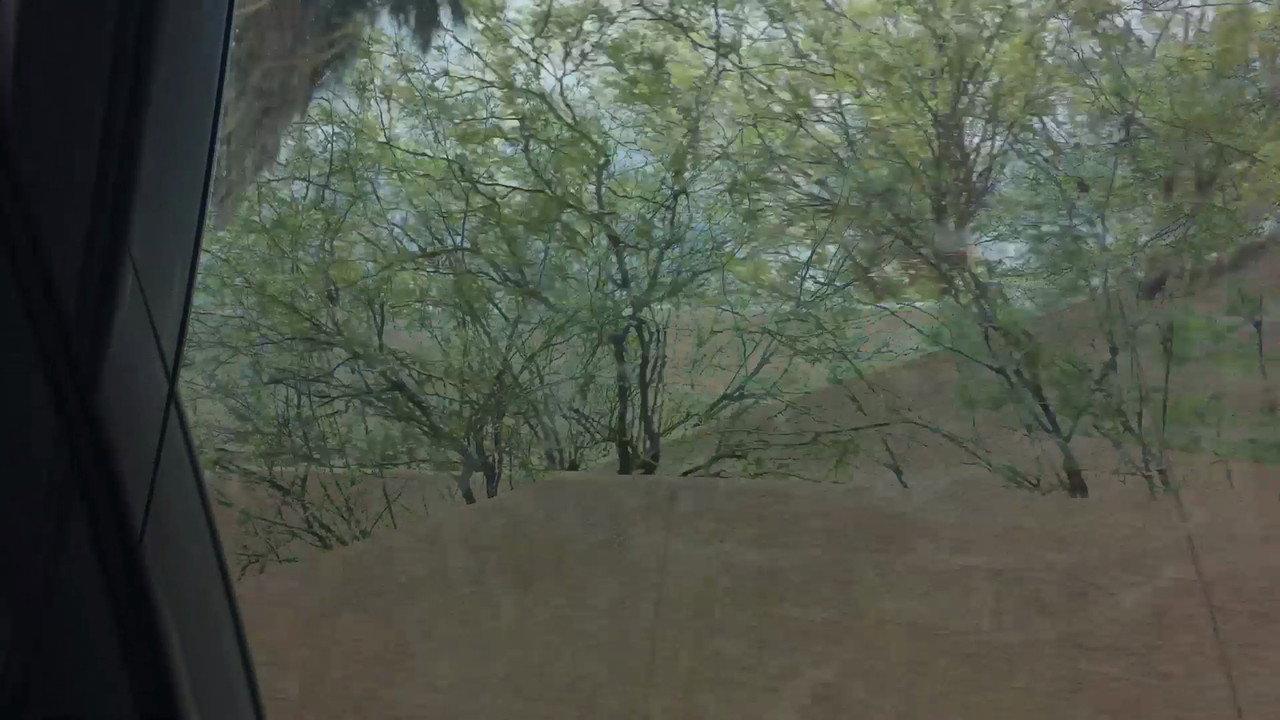 Aridity Enclosure 1 backdrop