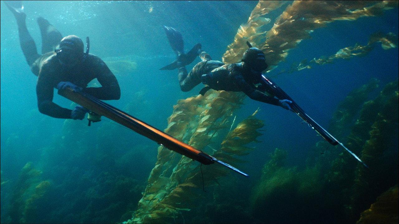 Whisper Breach backdrop