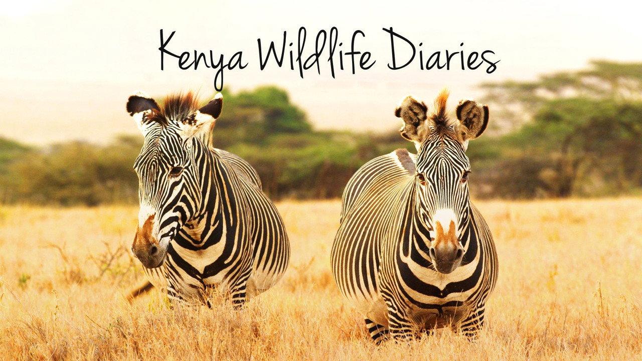 Kenya Wildlife Diaries backdrop