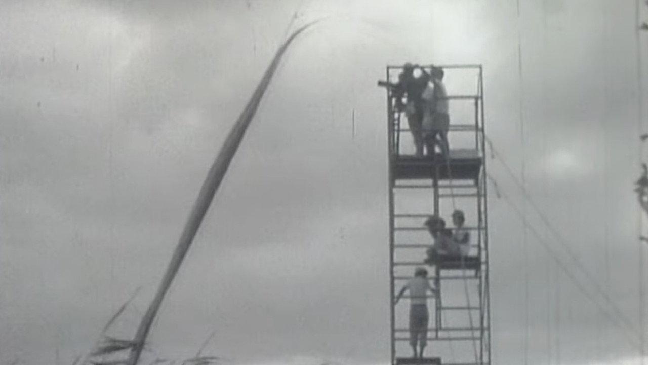 Onibaba : Film Location backdrop