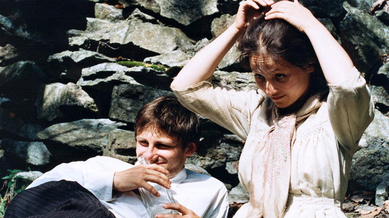 The Cow backdrop