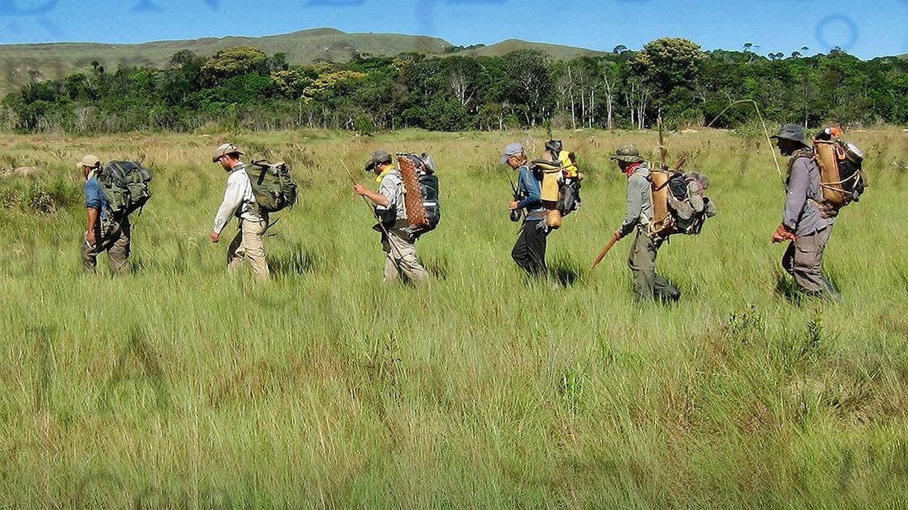 Out of the Wild: Venezuela backdrop