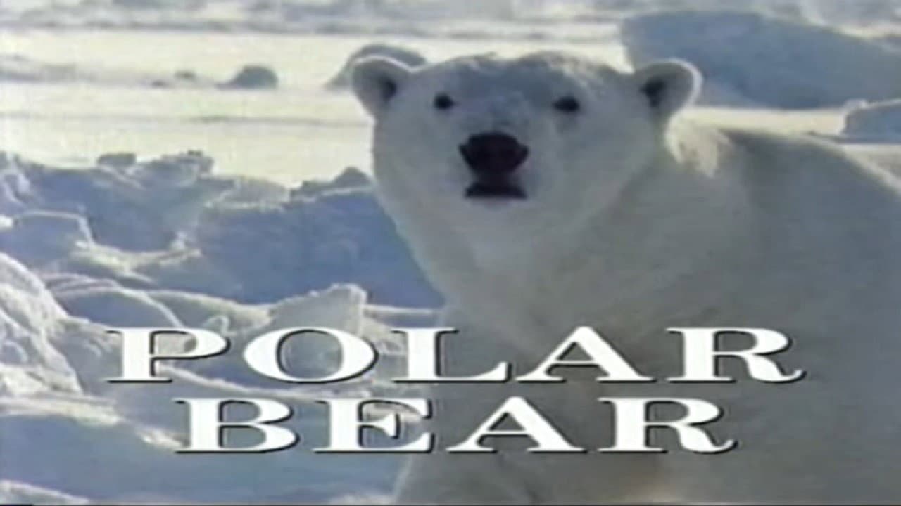 Predators of the Wild: Polar Bear backdrop