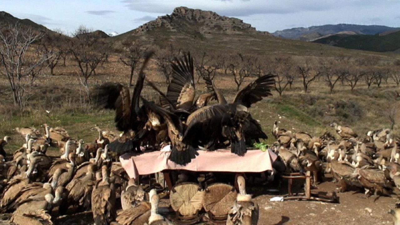 In Ictu Oculi backdrop