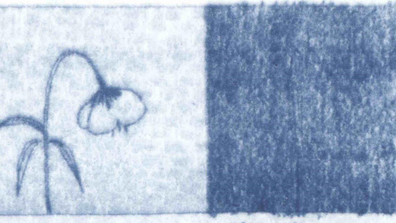 Blue Dreams of the Wind backdrop