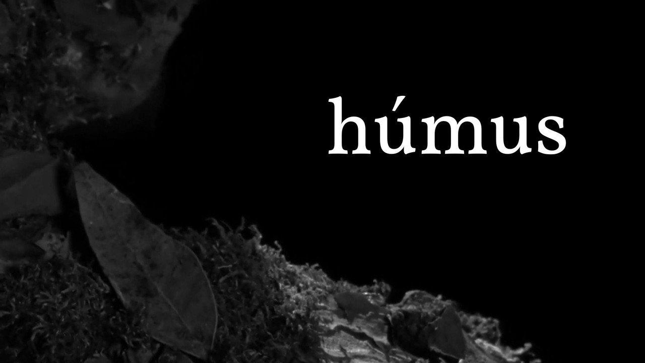 Húmus backdrop