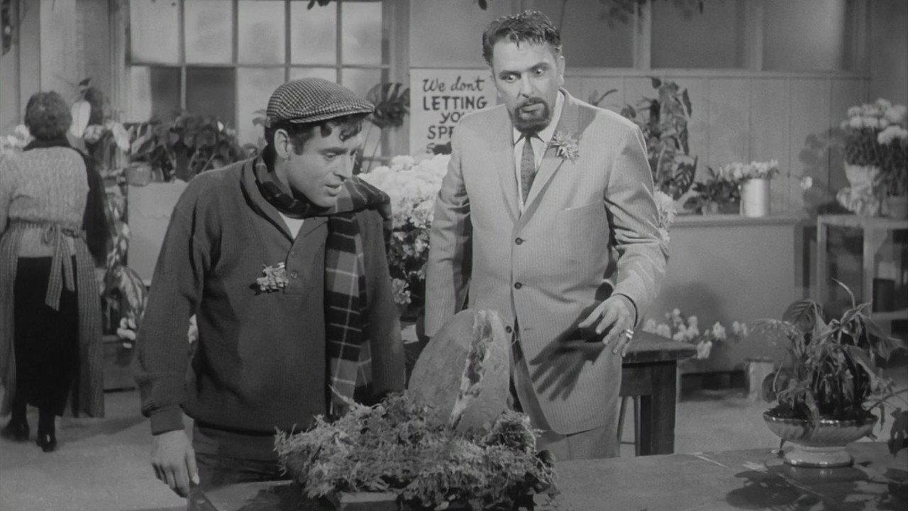 The Little Shop of Horrors backdrop