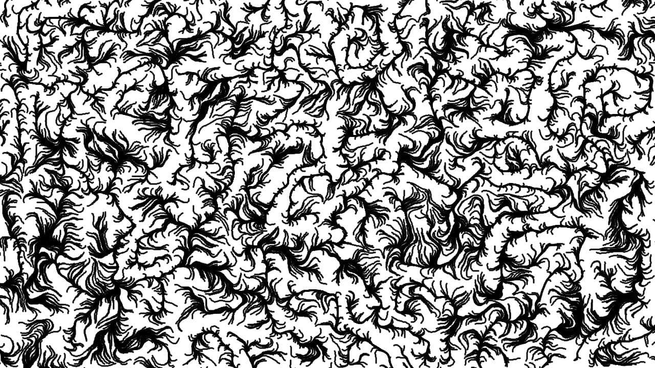 Verrückt backdrop