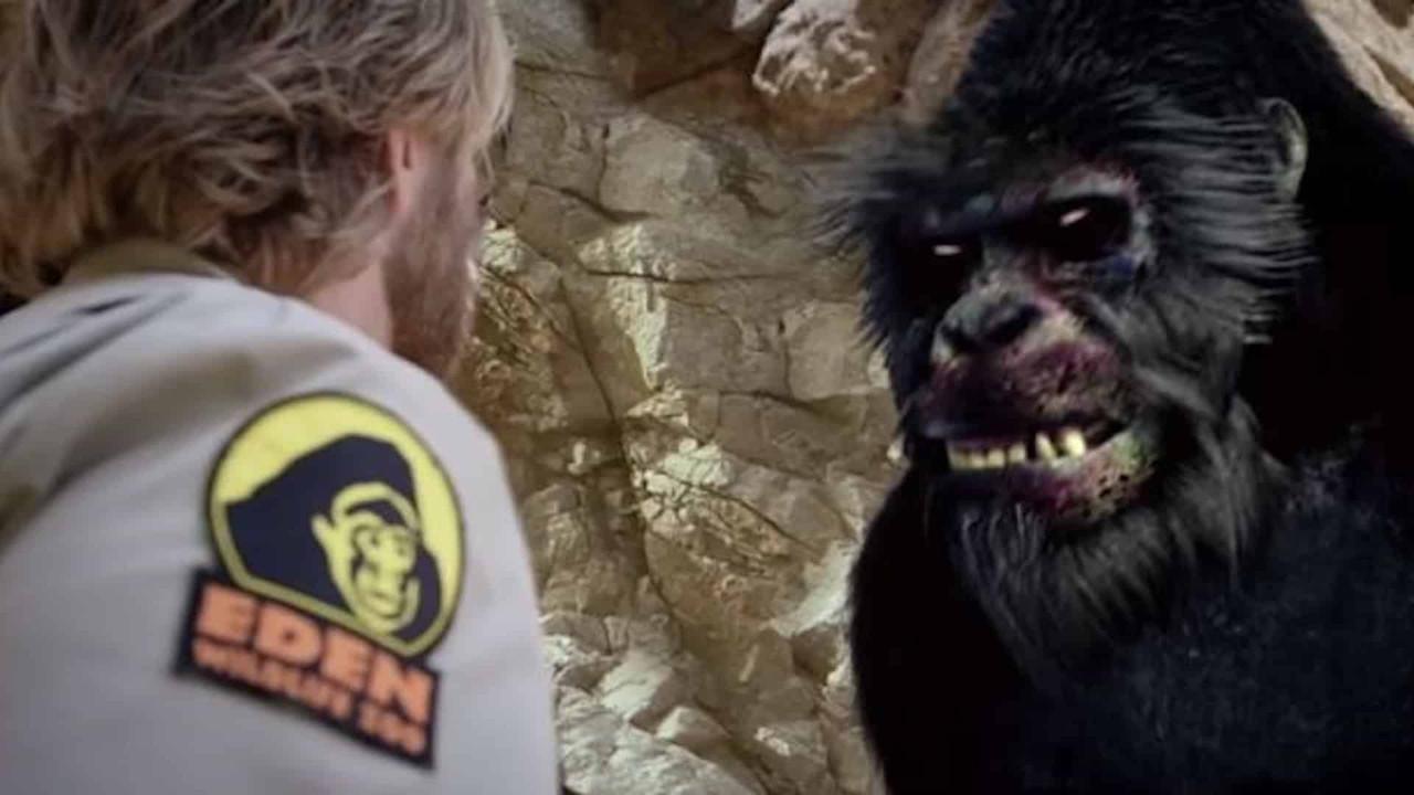 Zoombies backdrop
