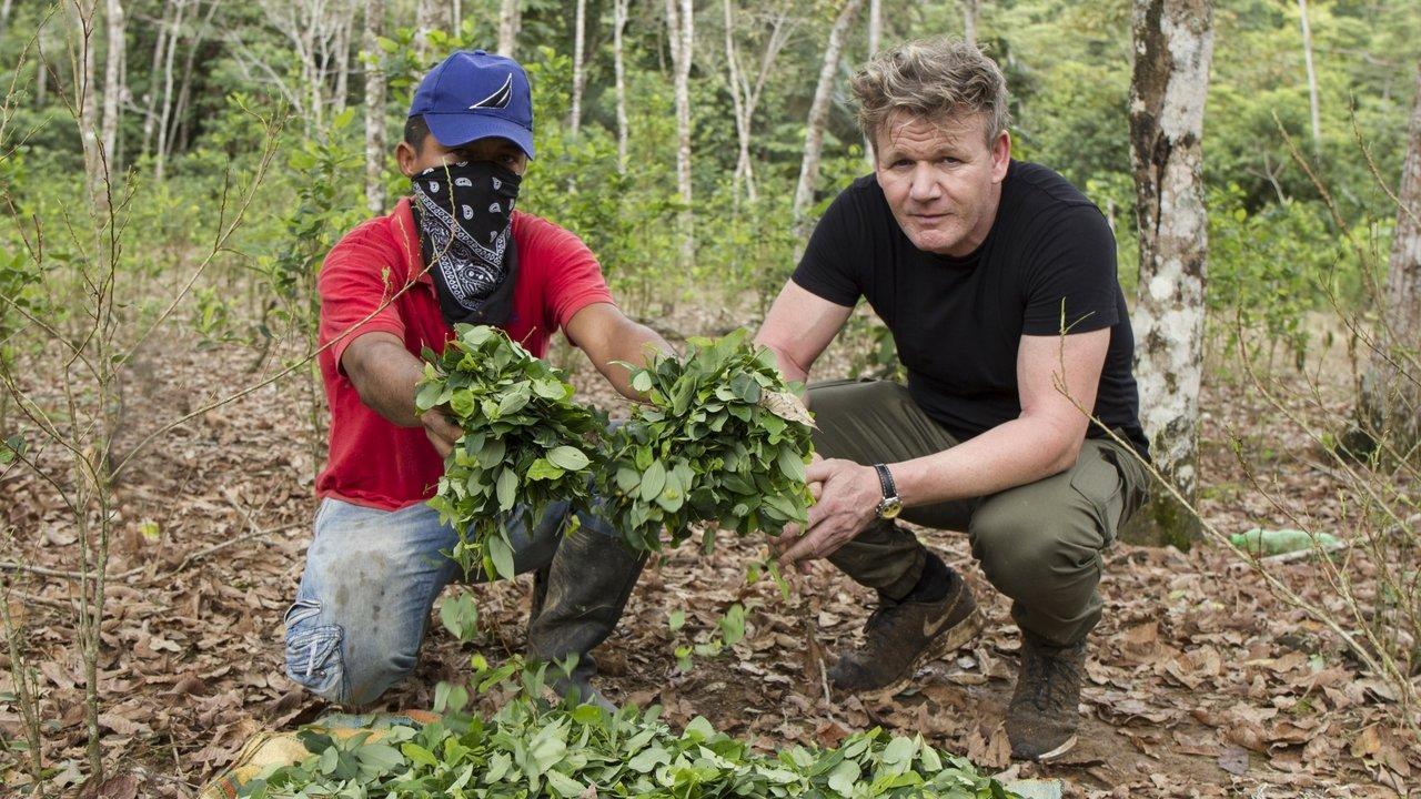 Gordon Ramsay on Cocaine backdrop