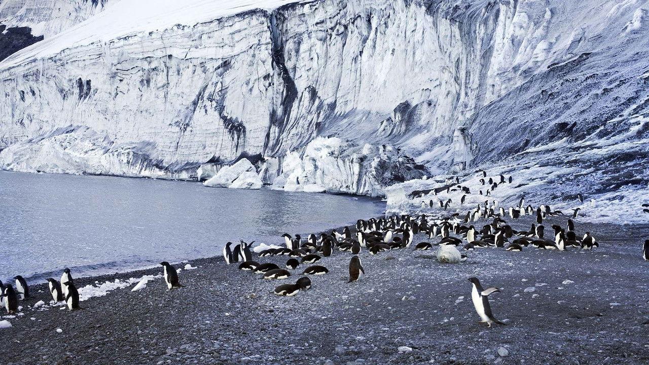 Antarctica: The Frozen Time backdrop