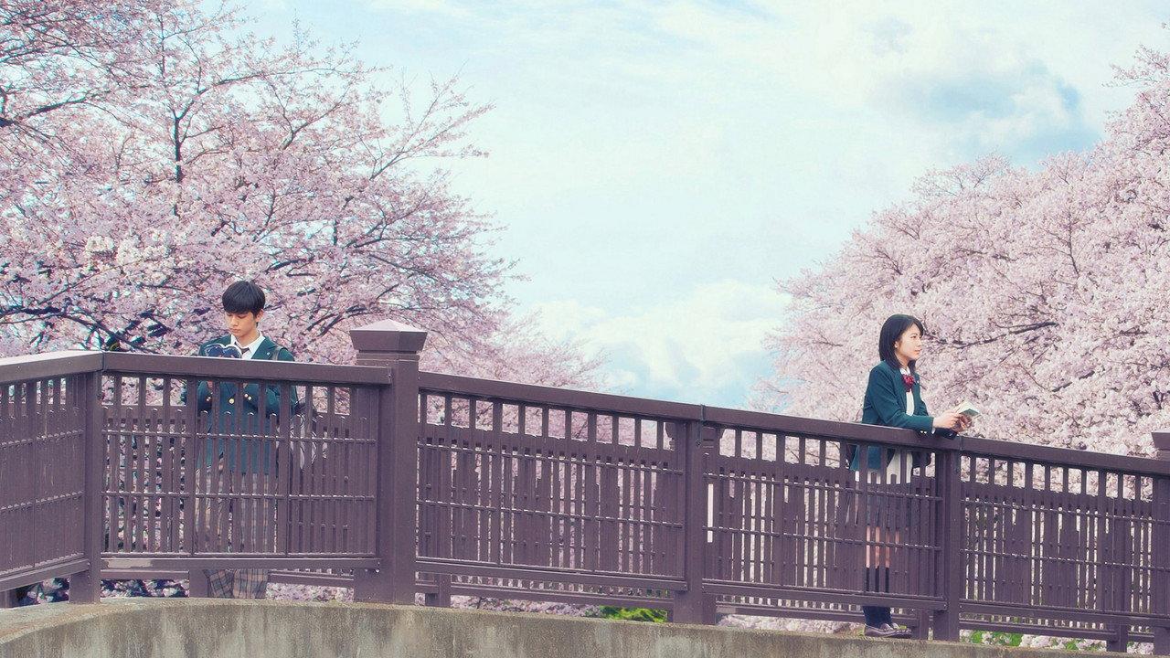 Let Me Eat Your Pancreas backdrop