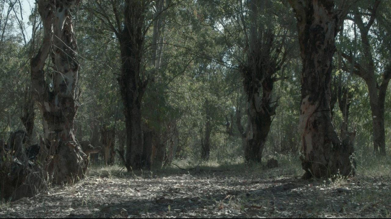 Yarost' backdrop