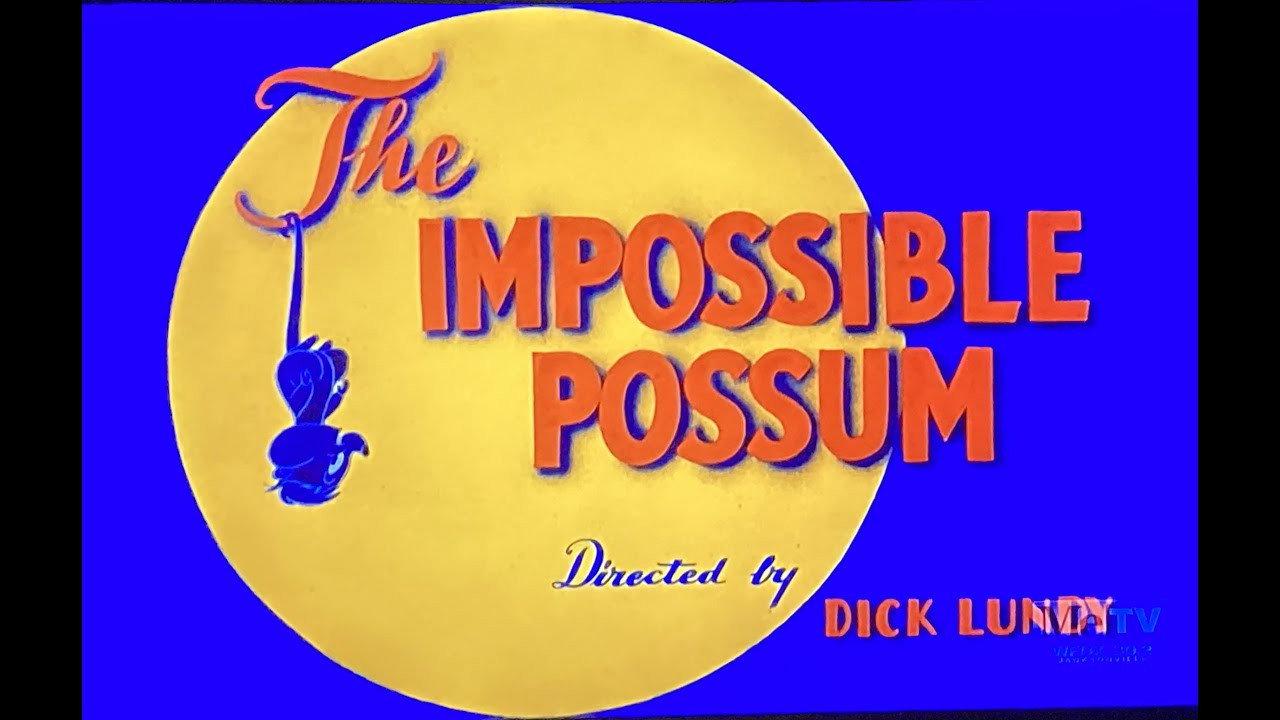 The Impossible Possum backdrop