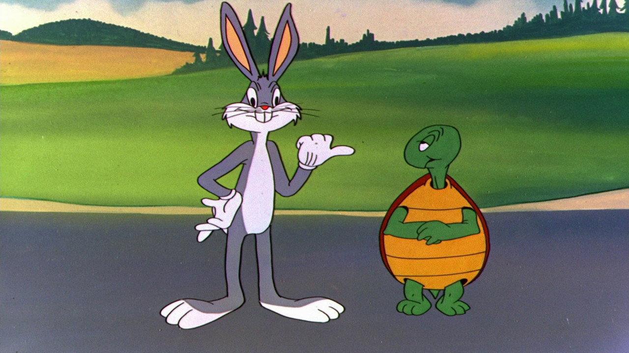 Rabbit Transit backdrop