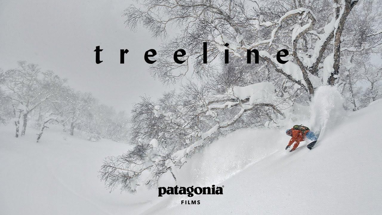 Treeline backdrop