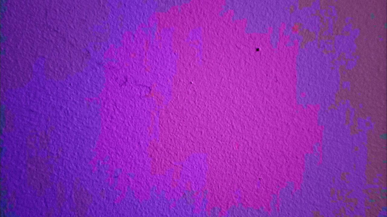 a tiny bug crawls across a wall backdrop