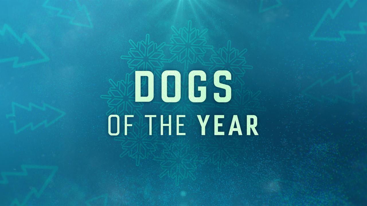 Dogs of the Year backdrop