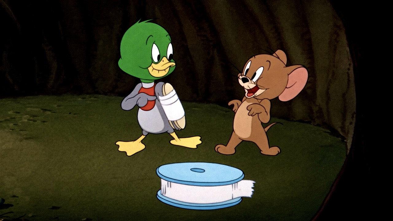 The Duck Doctor backdrop