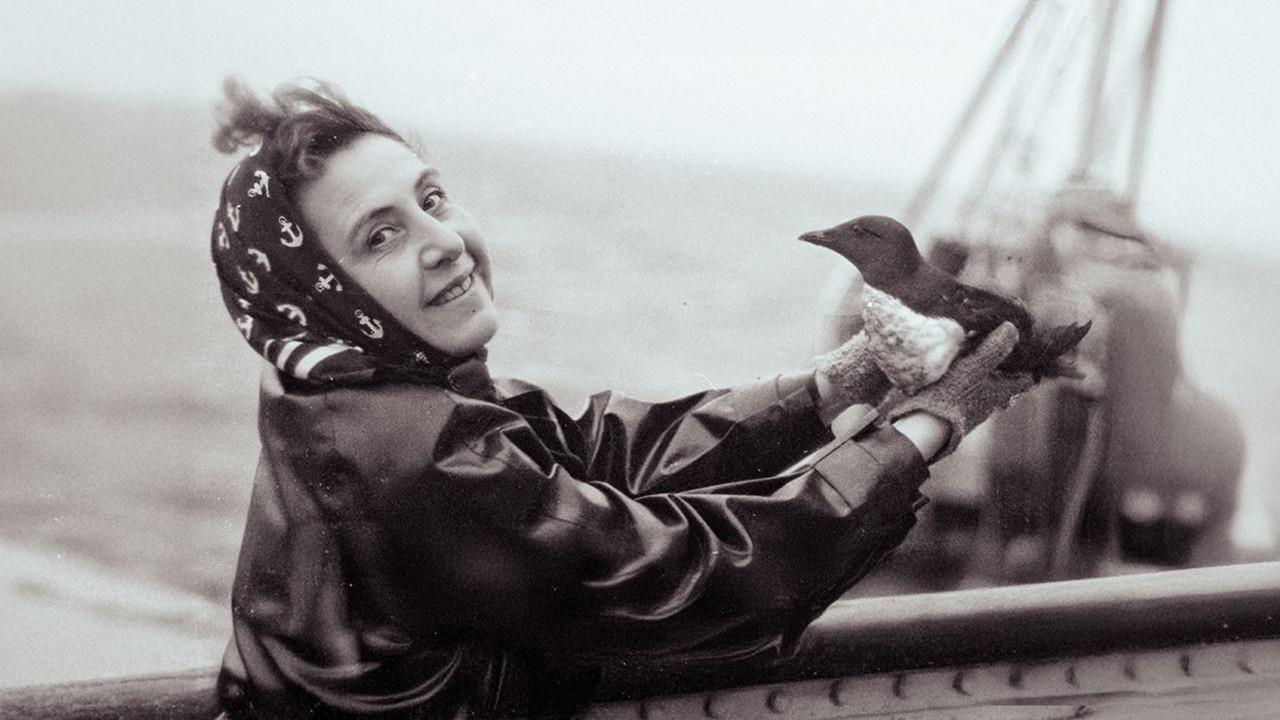 Anita Conti, l'appel du large backdrop