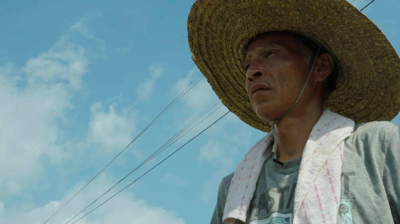 A Hong Kong Farmer’s Lot backdrop