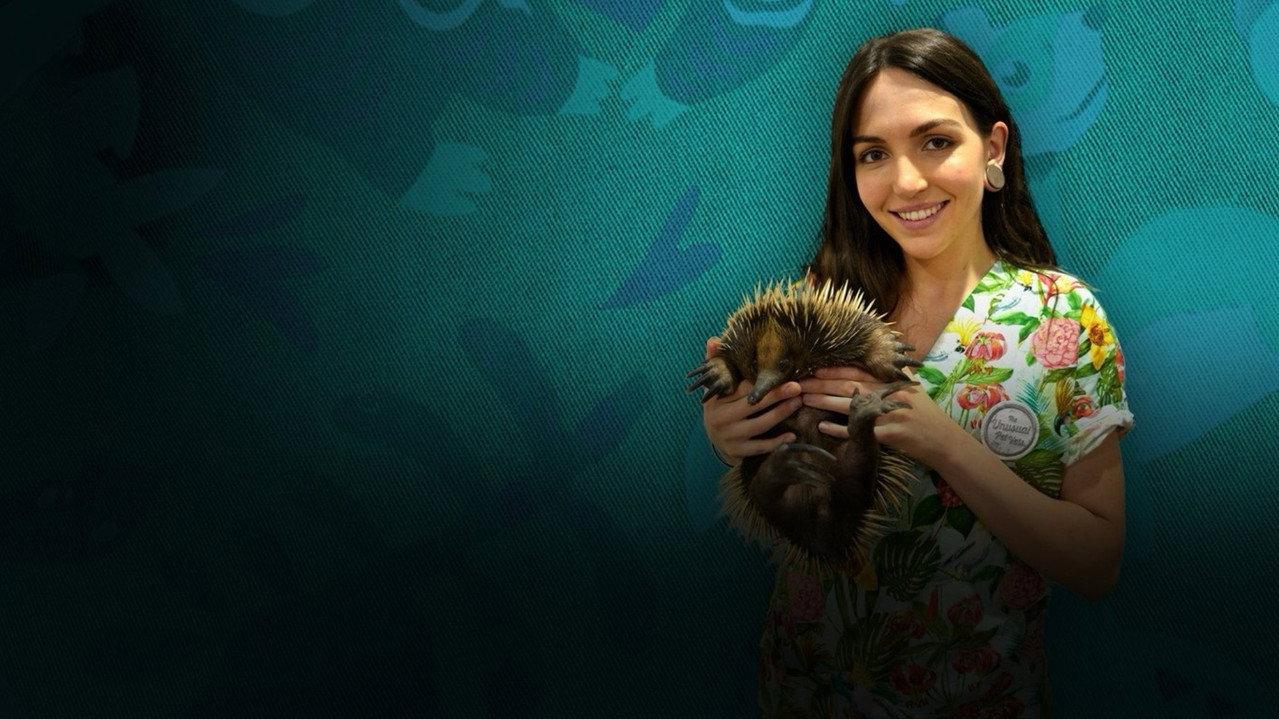 The Bizarre Pet Vets backdrop