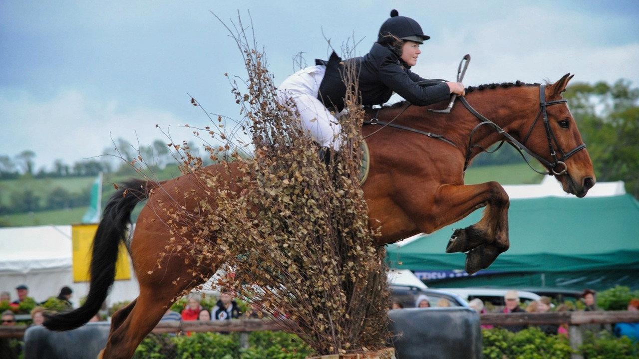 The Showjumper Murder backdrop
