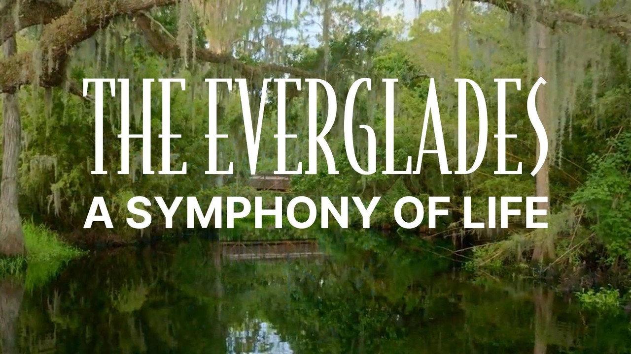 The Everglades: A Symphony of Life backdrop
