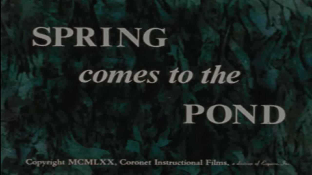 Spring Comes to the Pond backdrop