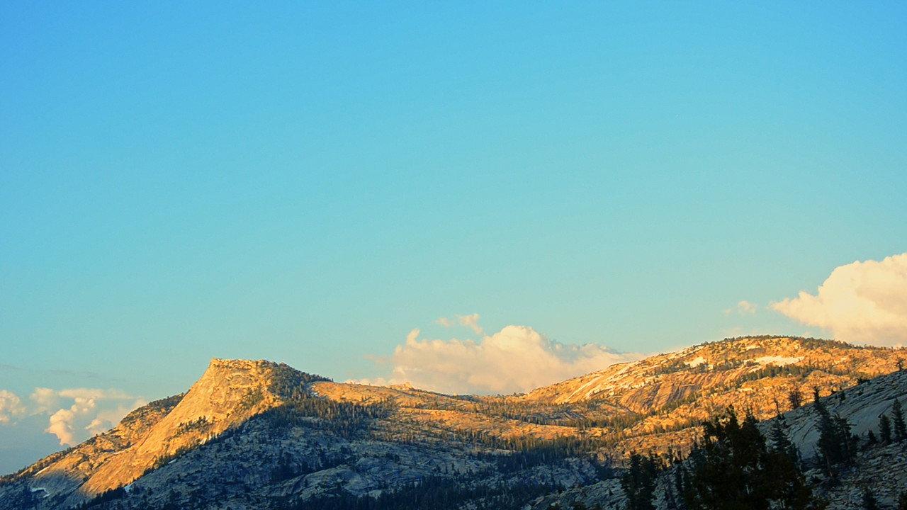 A Breath Of Summer backdrop