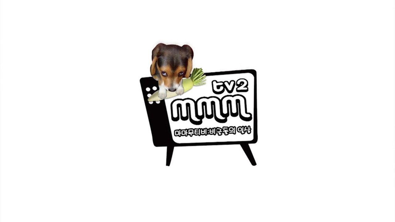 MMMTV backdrop