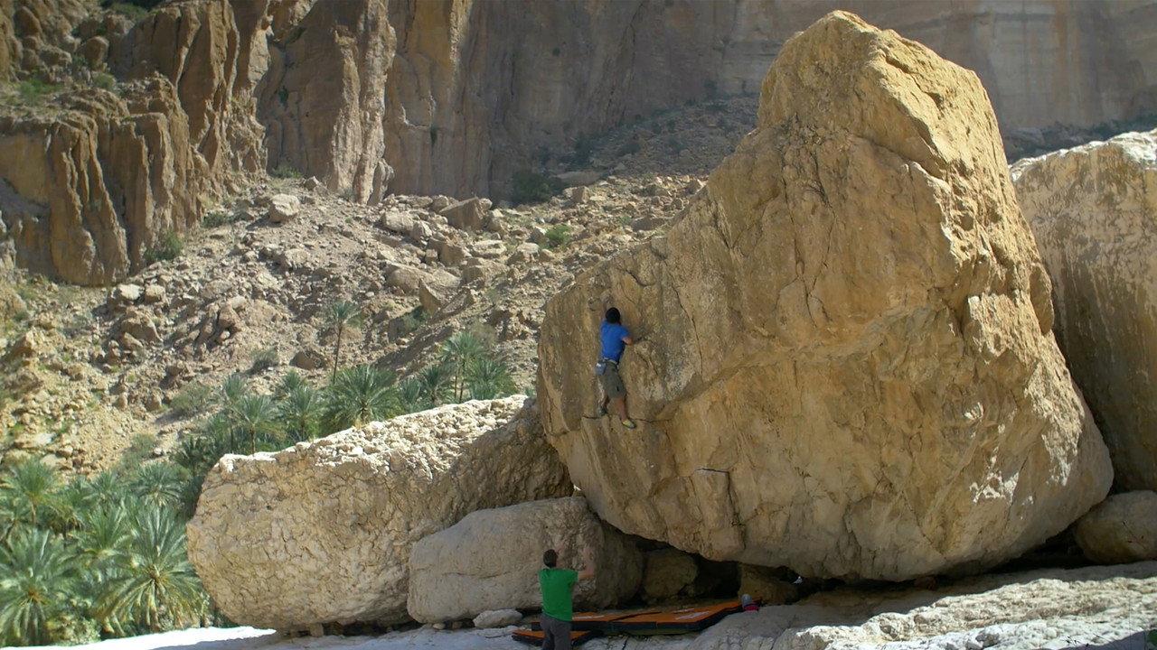 Valley Of Giants backdrop