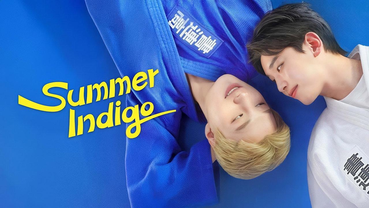 Summer Indigo backdrop