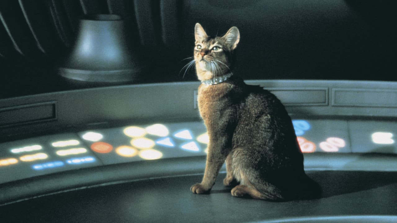 The Cat from Outer Space backdrop