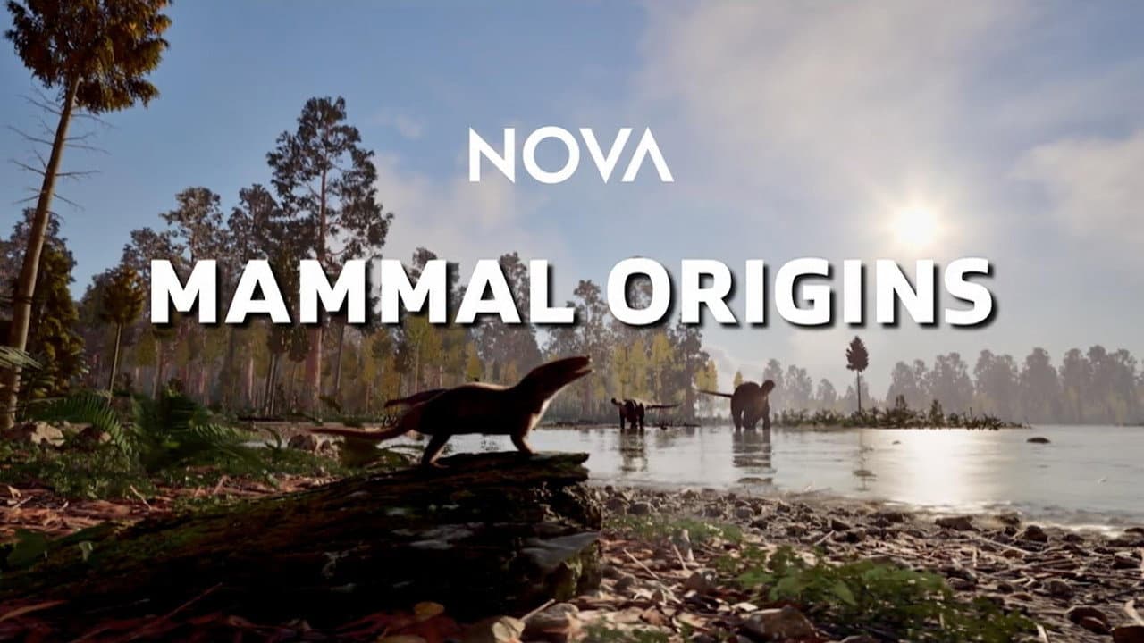 Mammal Origins backdrop
