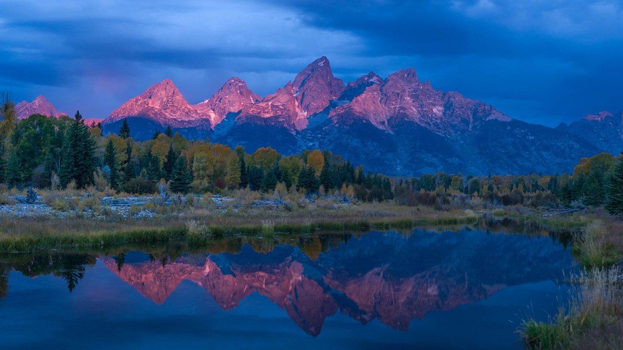 Wild Yellowstone backdrop