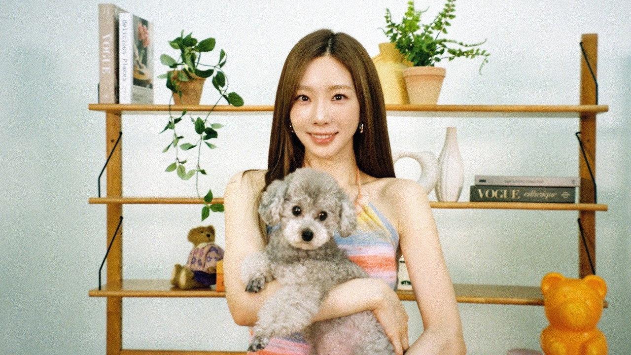 Taeng Forest backdrop