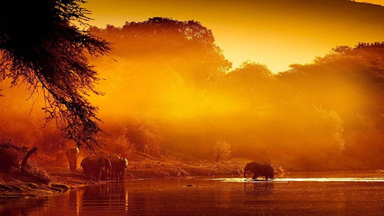 Zambezi: Force of Life backdrop