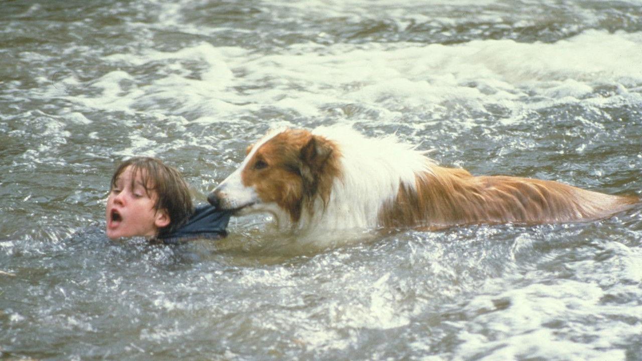 Lassie backdrop