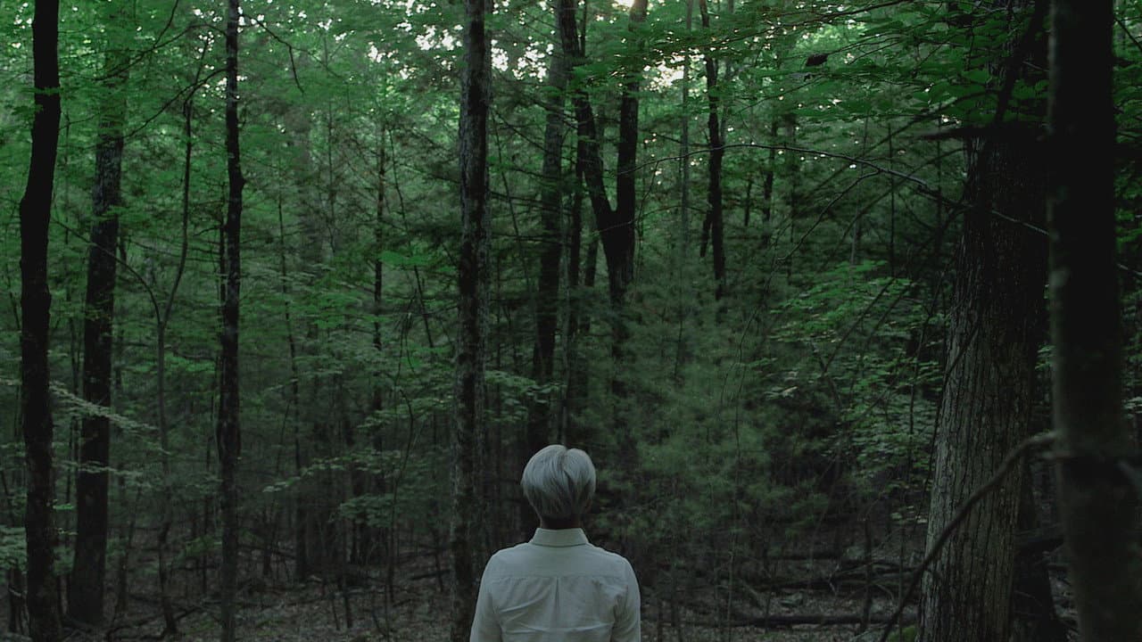 Ryuichi Sakamoto: CODA backdrop