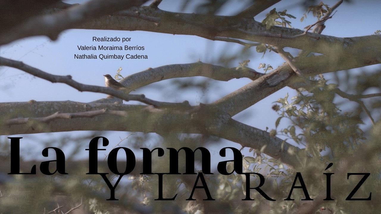La forma y la raíz backdrop