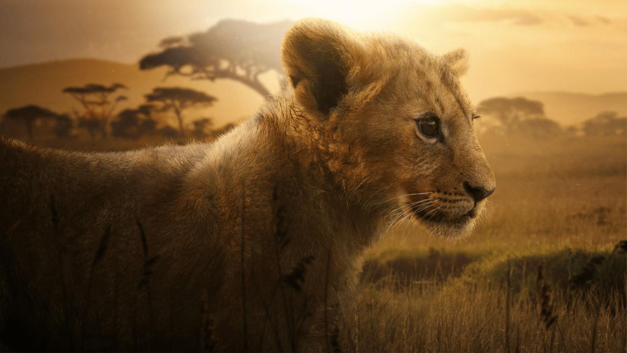 Lion backdrop