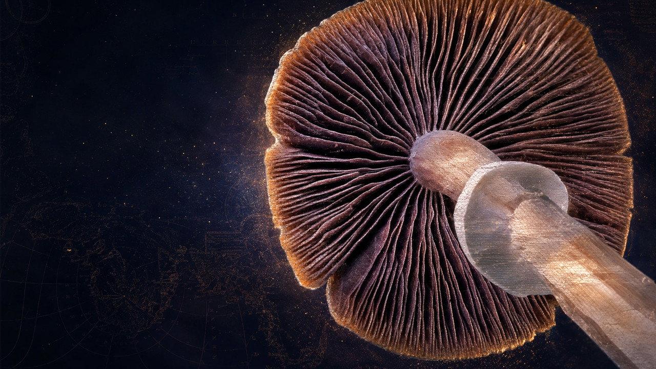 Cosmic Heirloom: Buried 400 Years backdrop