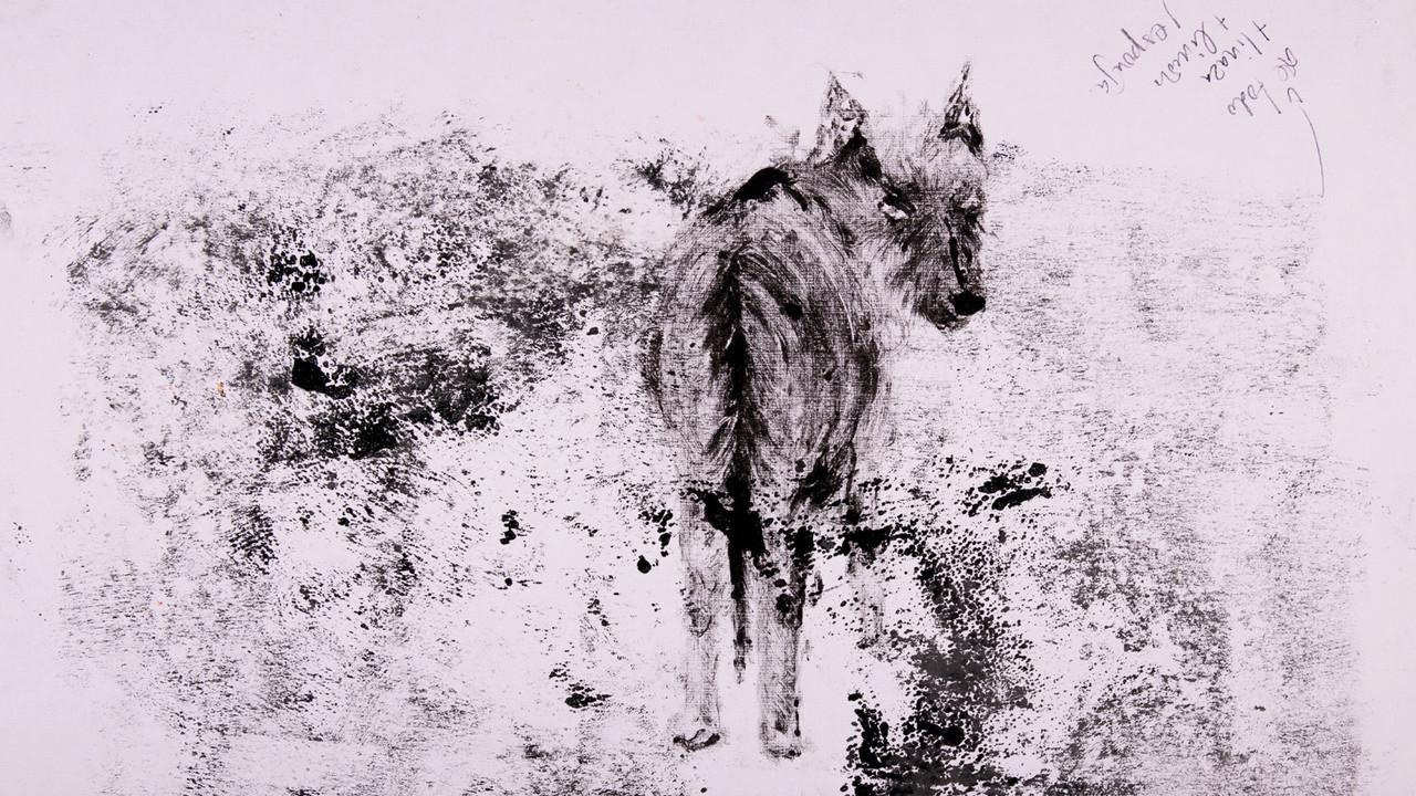 decay backdrop