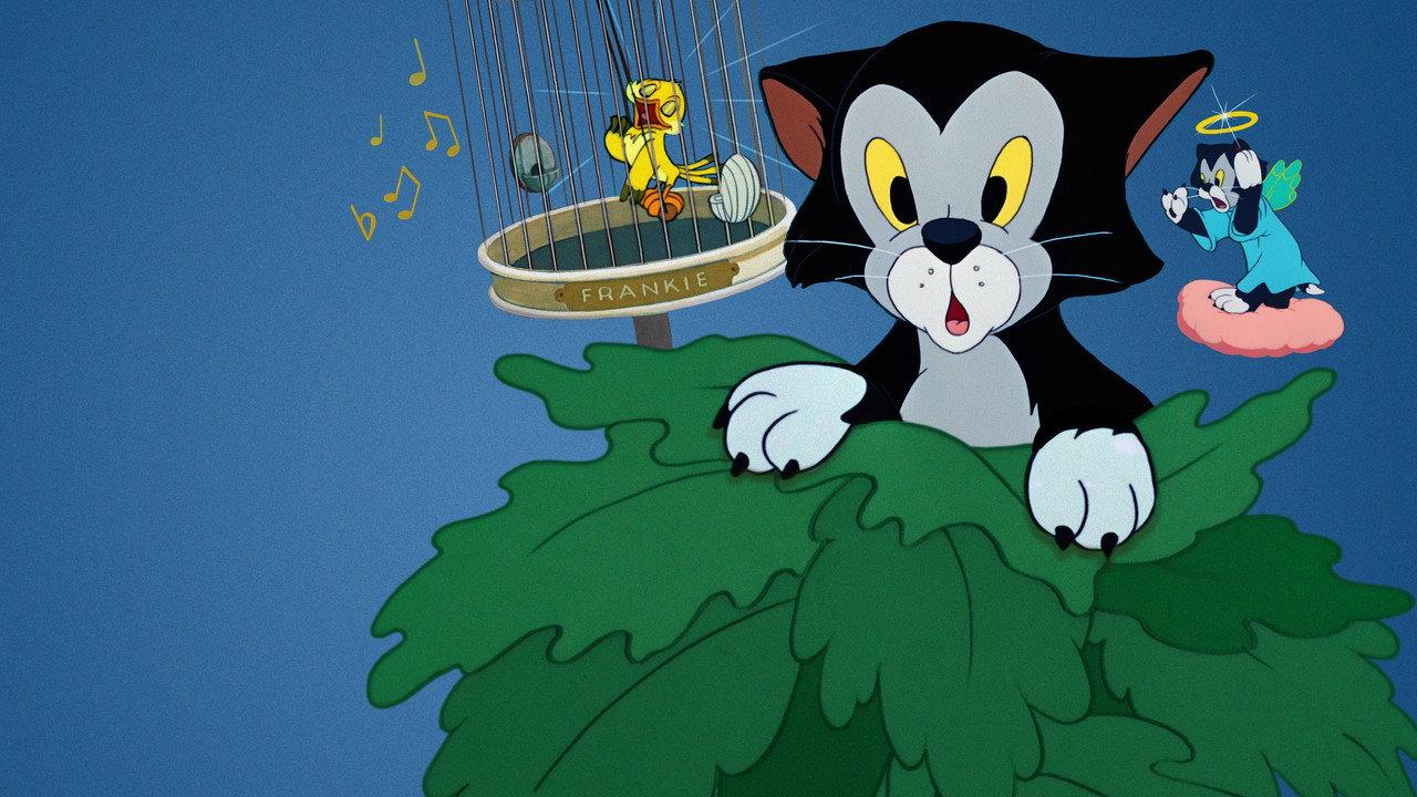 Figaro and Frankie backdrop