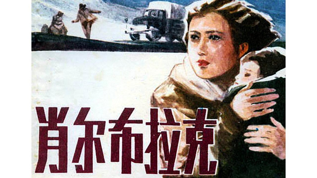 肖尔布拉克 backdrop