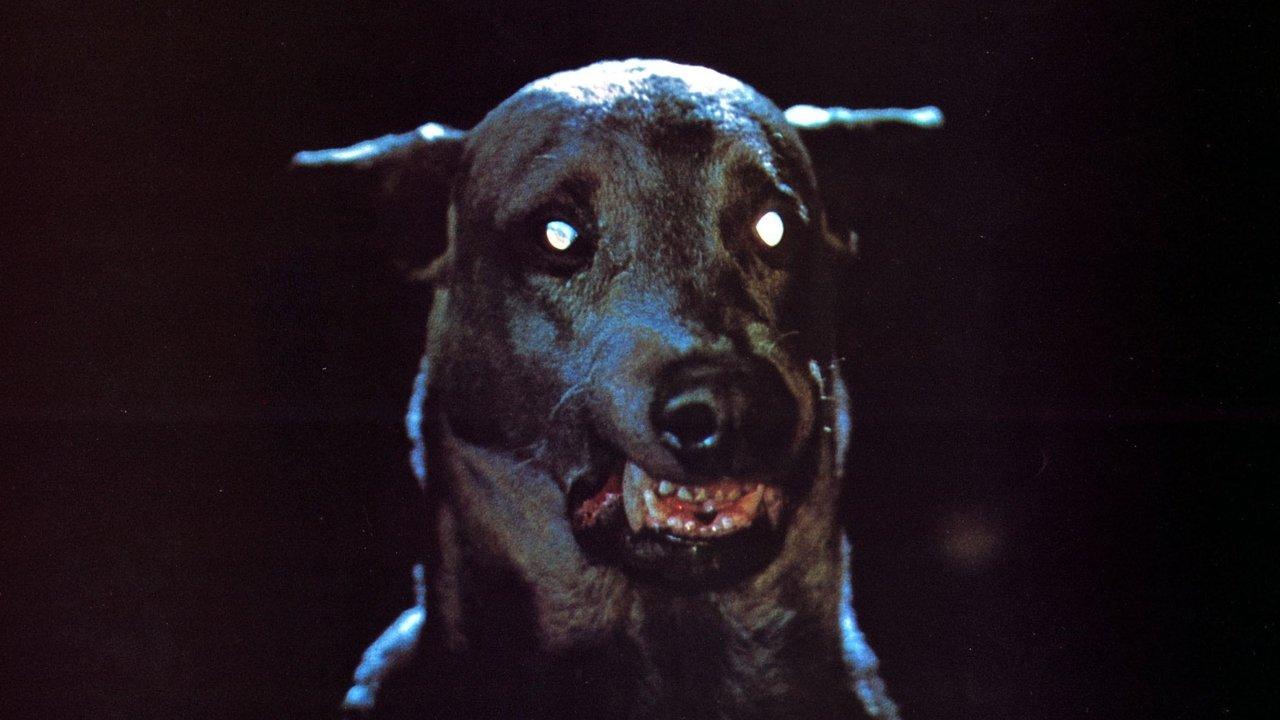 Zoltan… Hound of Dracula backdrop
