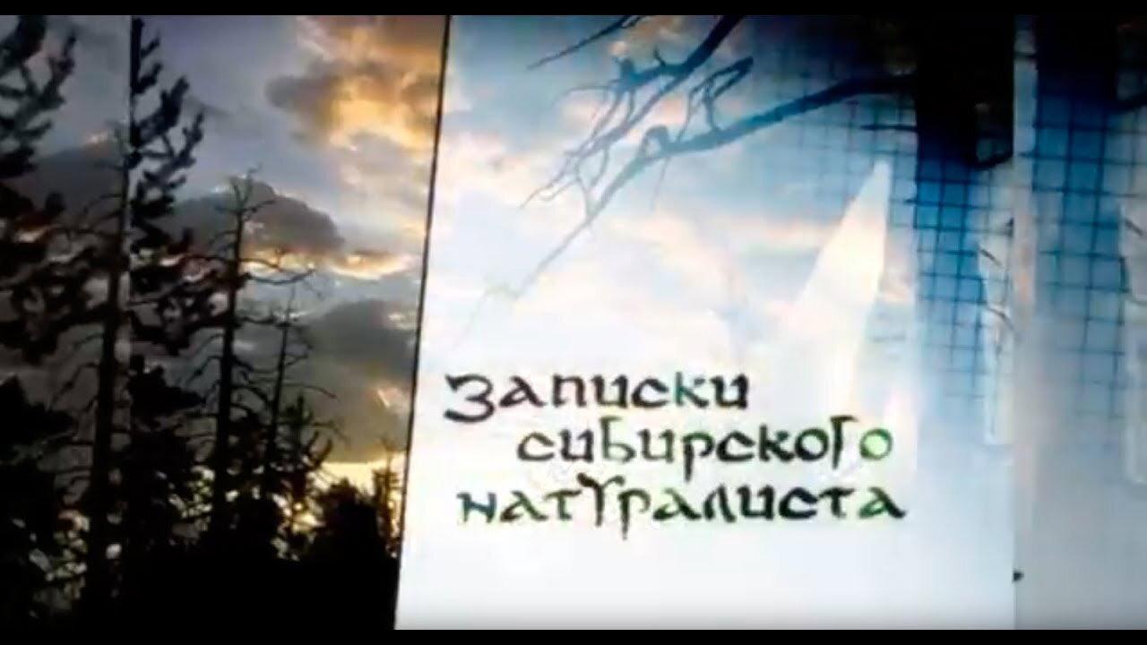 Записки Сибирского Натуралиста backdrop