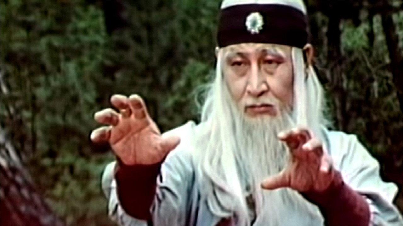 The Divine Martial Arts Of Dharma backdrop
