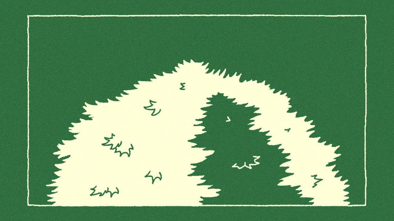 The Sycamore backdrop